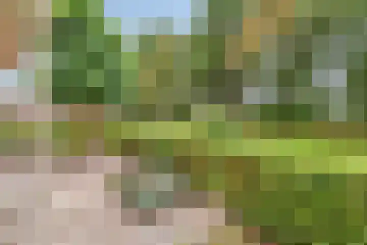Zijstraat 28 De Moer thumbnail 46