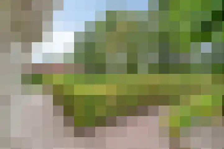 Zijstraat 28 De Moer thumbnail 47