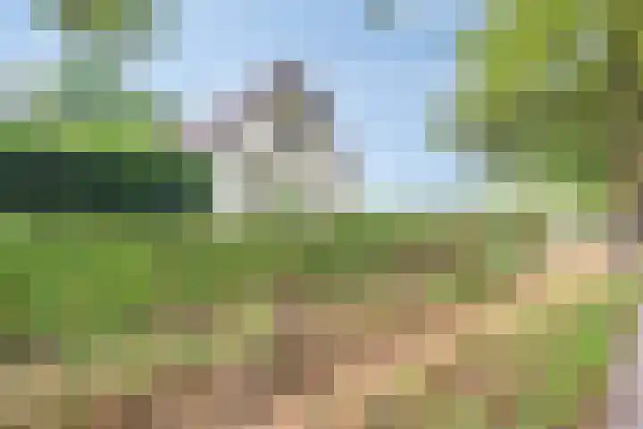 Zijstraat 28 De Moer thumbnail 51