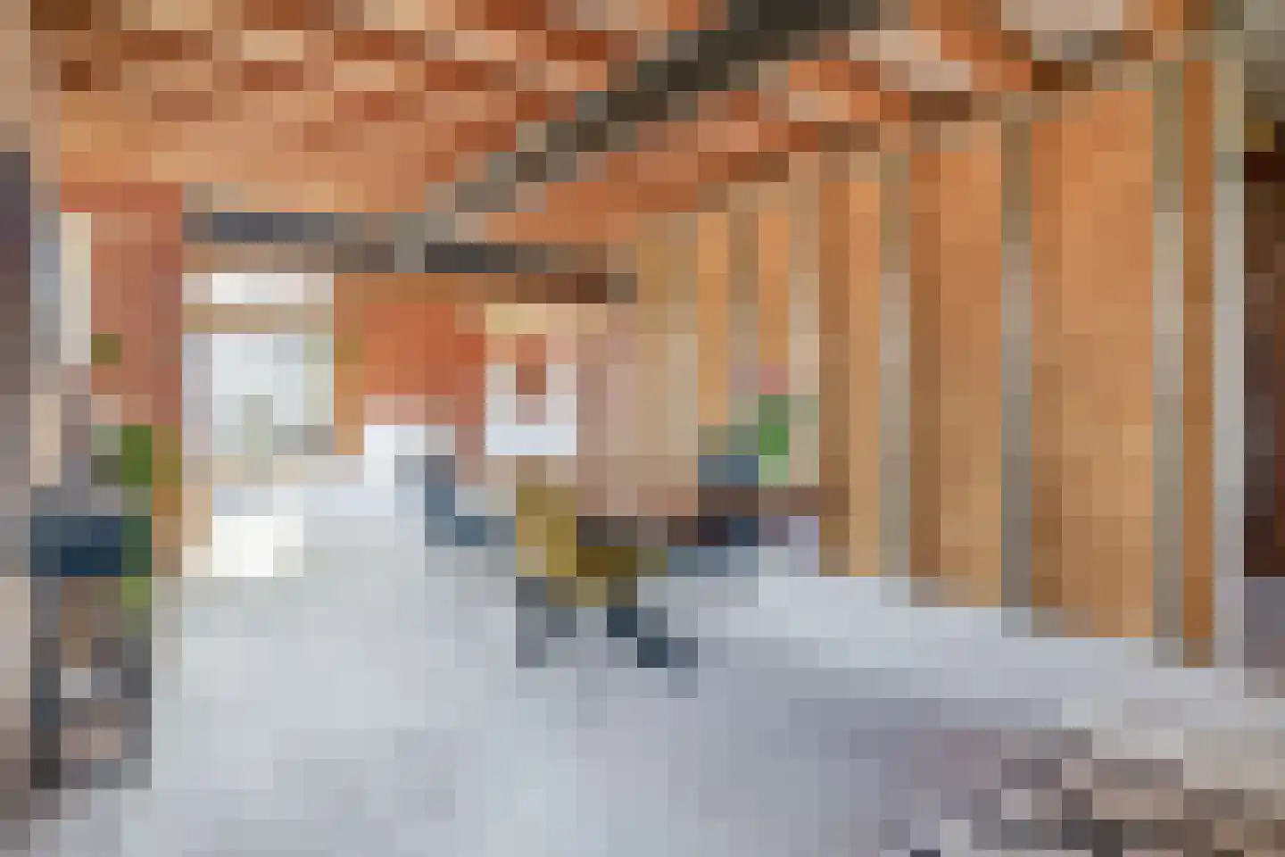 Zijtaartseweg 6 Sint-Oedenrode thumbnail 10