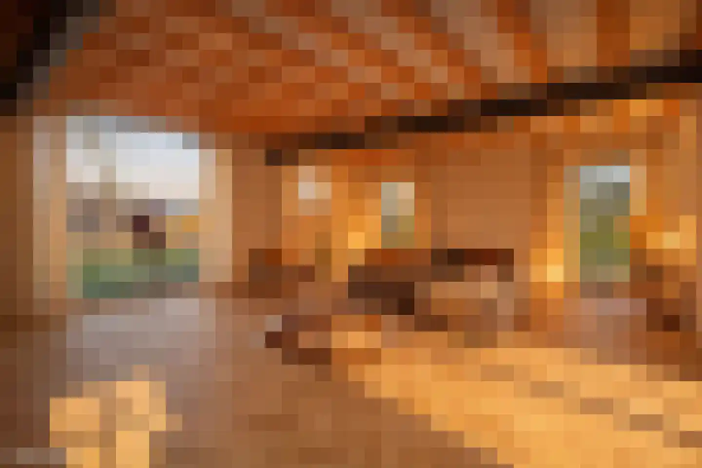 Zijtaartseweg 6 Sint-Oedenrode thumbnail 8