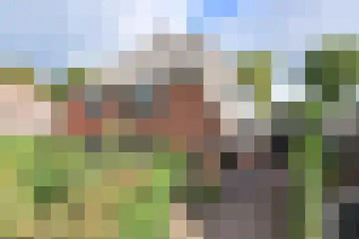 Zijtak 19 Laren