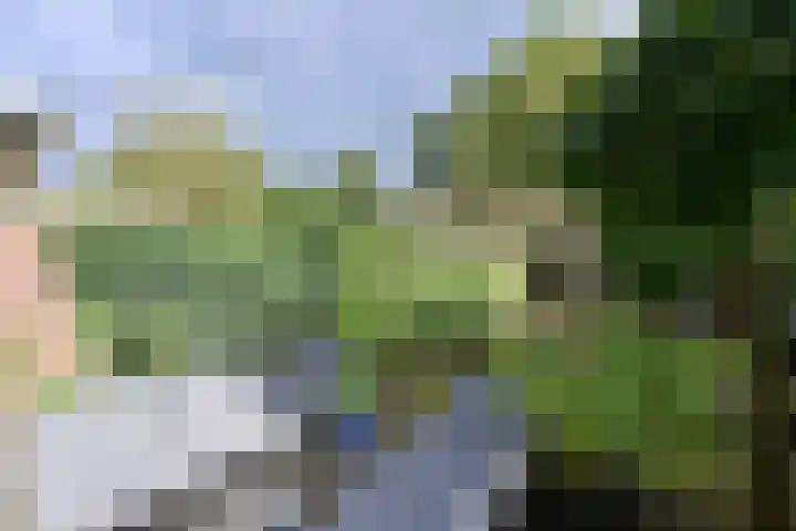 Zijtak 19 Laren thumbnail 10