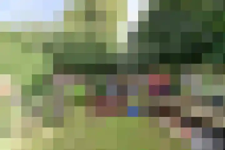 Zijtak 19 Laren thumbnail 12
