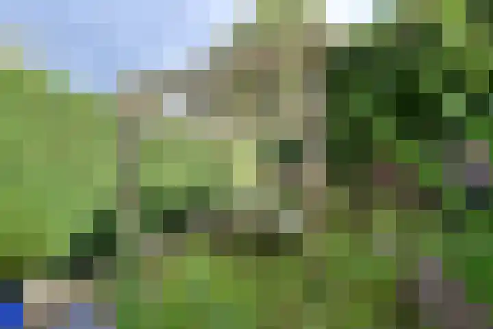 Zijtak 19 Laren thumbnail 13