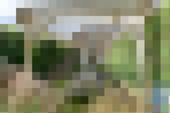 Zijtak 19 Laren thumbnail 14