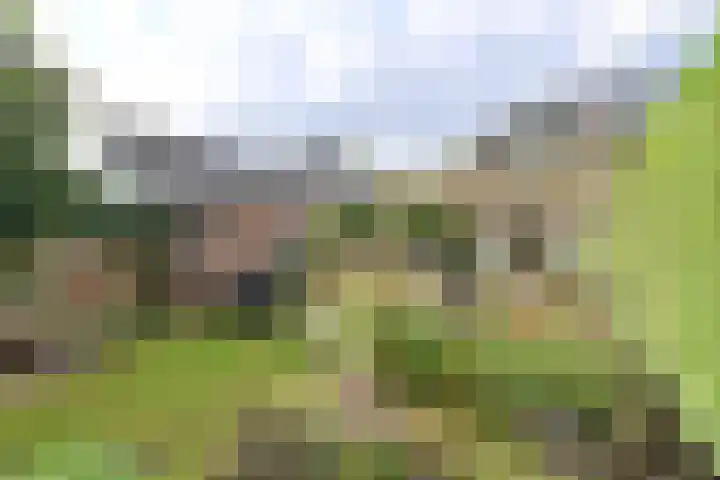 Zijtak 19 Laren thumbnail 22