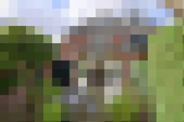 Zijtak 19 Laren thumbnail 23