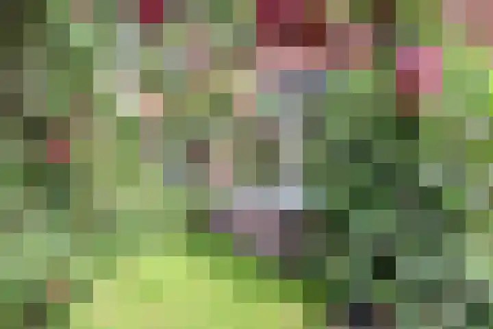 Zijtak 19 Laren thumbnail 24