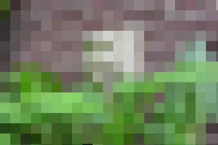 Zijtak 19 Laren thumbnail 25