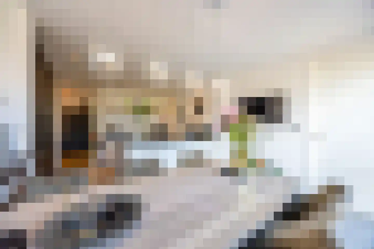 Zijtak 28 Laren thumbnail 12
