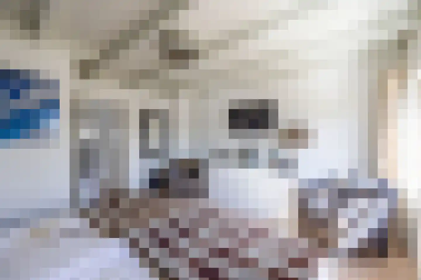 Zijtak 28 Laren thumbnail 15