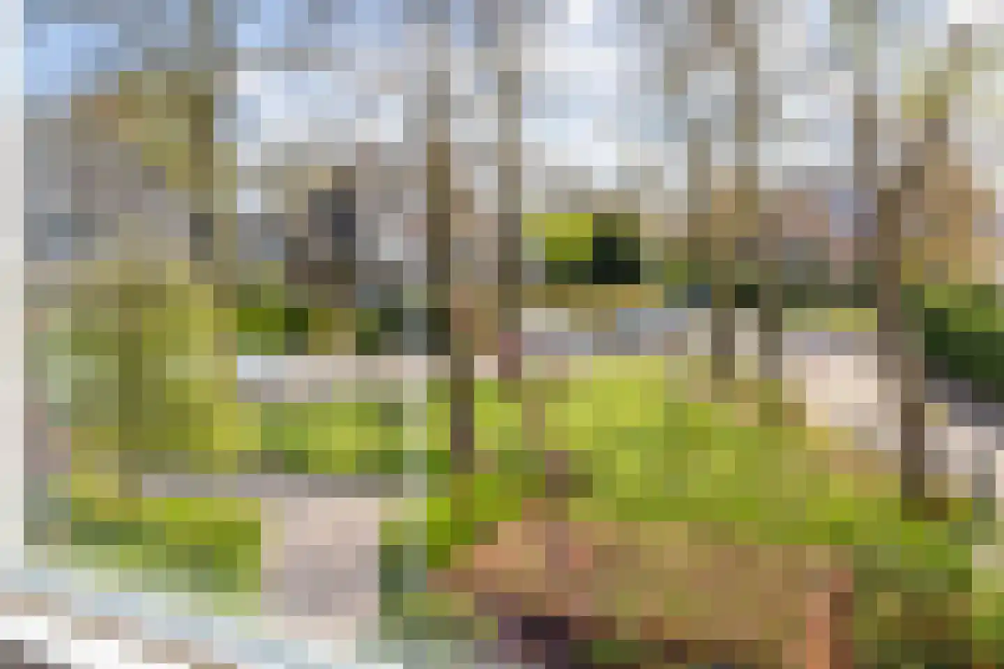 Zijtak 28 Laren thumbnail 17