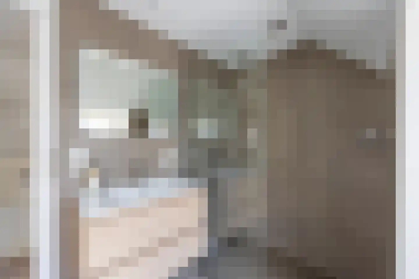 Zijtak 28 Laren thumbnail 19