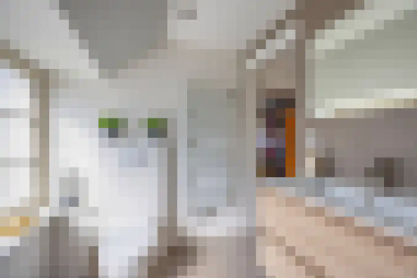 Zijtak 28 Laren thumbnail 20