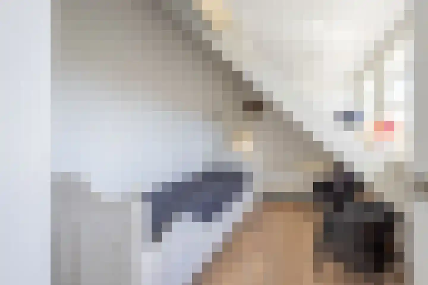 Zijtak 28 Laren thumbnail 23