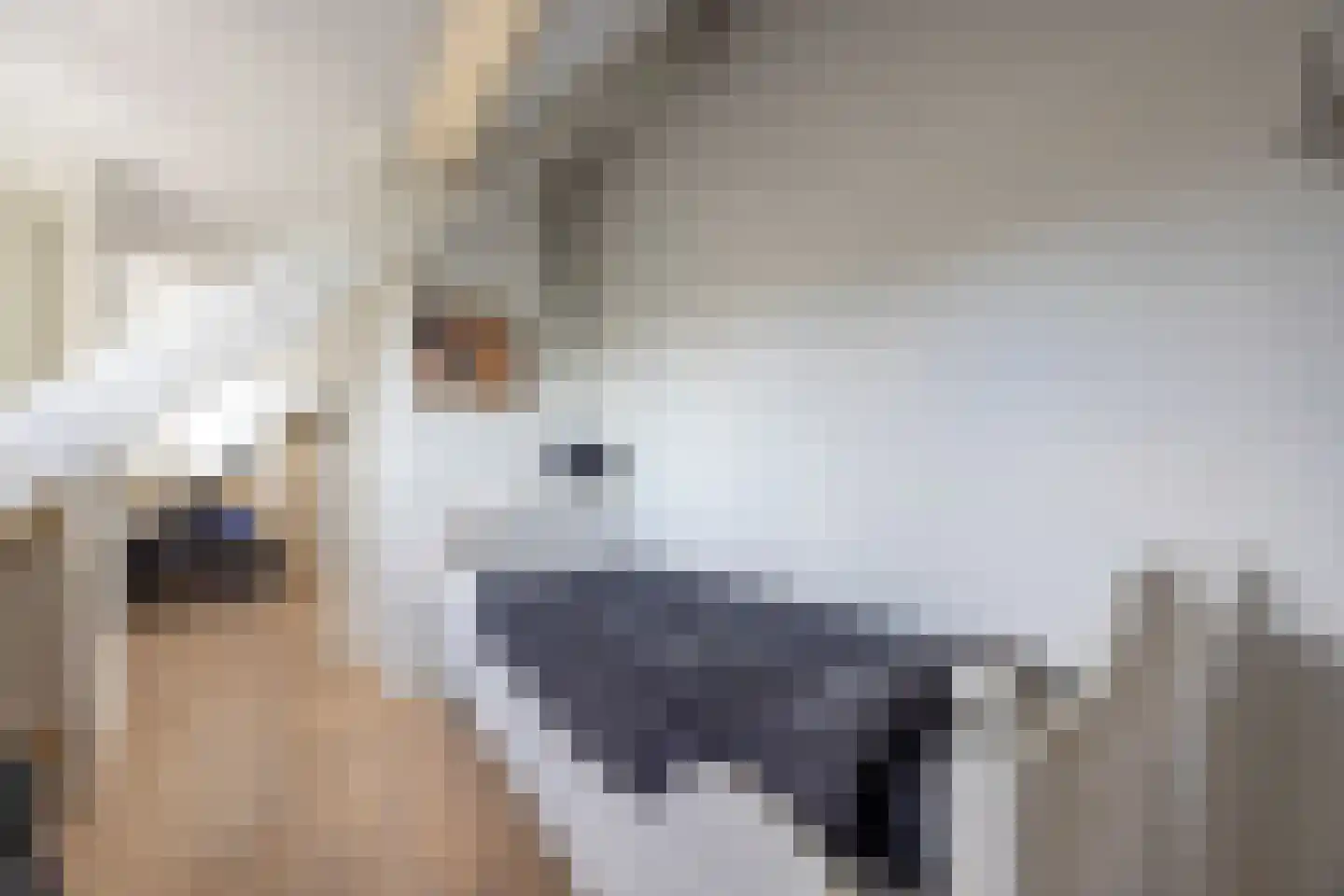 Zijtak 28 Laren thumbnail 24
