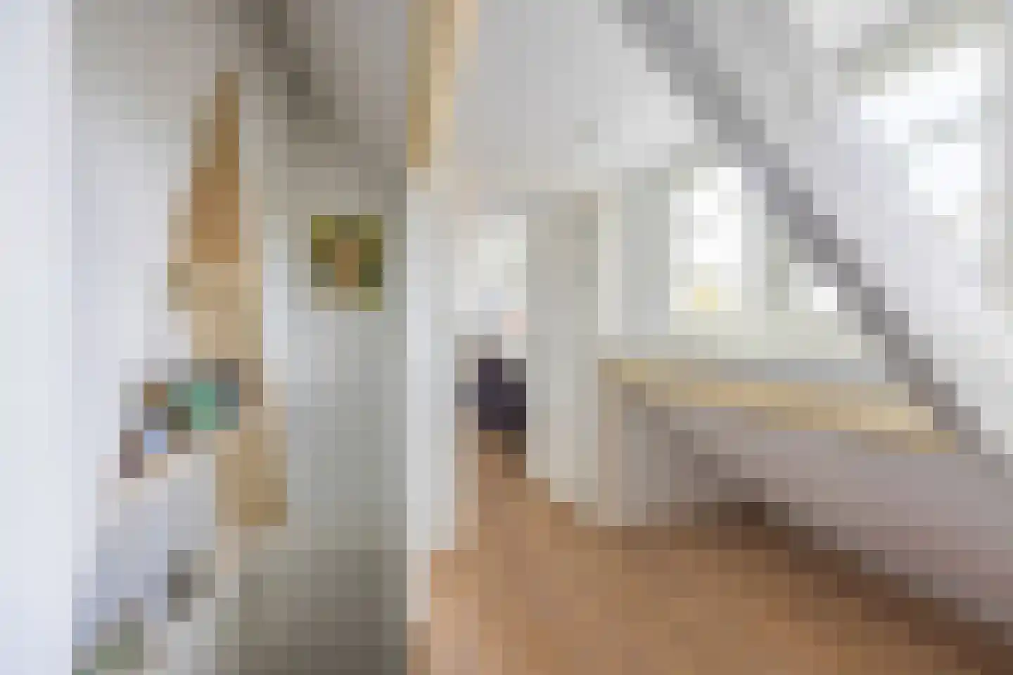 Zijtak 28 Laren thumbnail 25