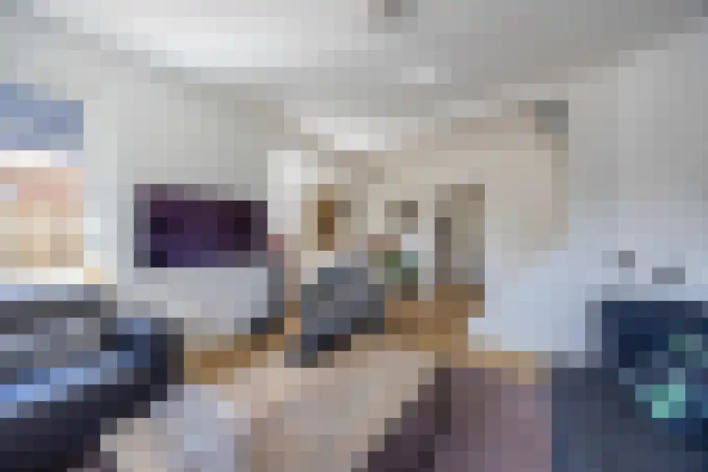 Zijtak 28 Laren thumbnail 7