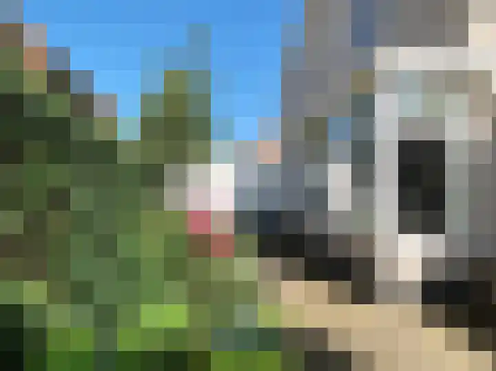 Zijtak 29 Laren thumbnail 17