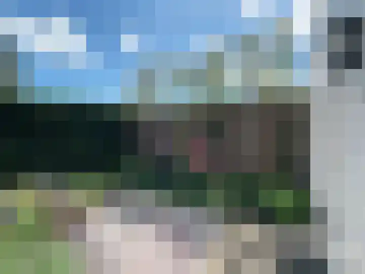 Zijtak 29 Laren thumbnail 19