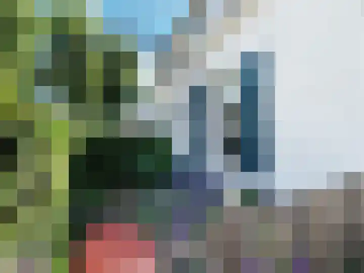 Zijtak 29 Laren thumbnail 20