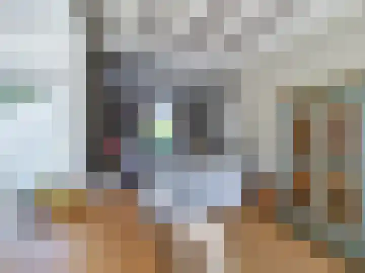 Zijtak 29 Laren thumbnail 4