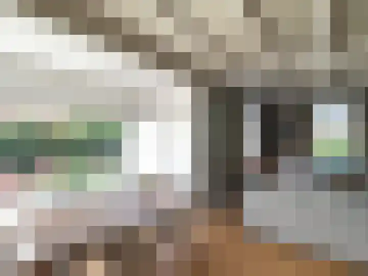 Zijtak 29 Laren thumbnail 6