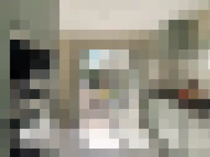 Zijtak 29 Laren thumbnail 7