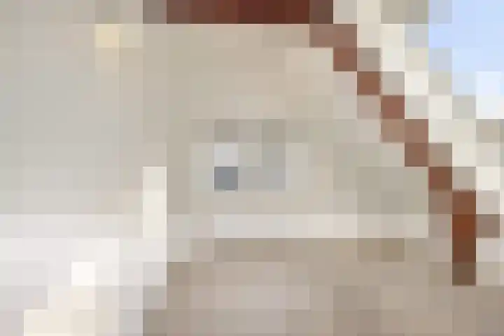 Zijtak 36 Laren thumbnail 22