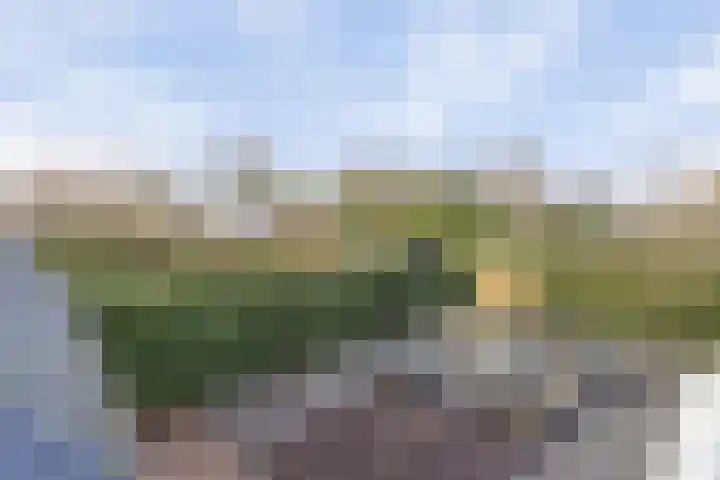 Zijtak 36 Laren thumbnail 33
