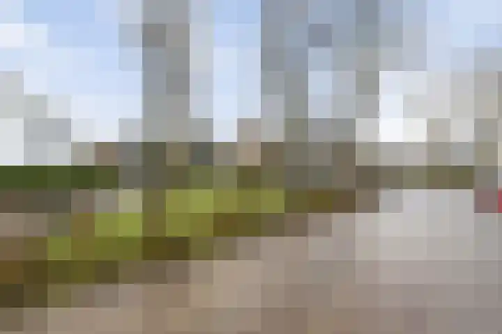 Zijtak 36 Laren thumbnail 35