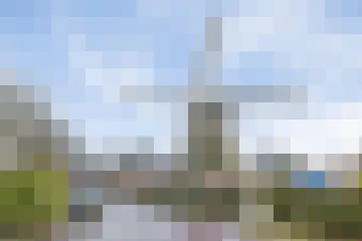 Zijtak 36 Laren thumbnail 37