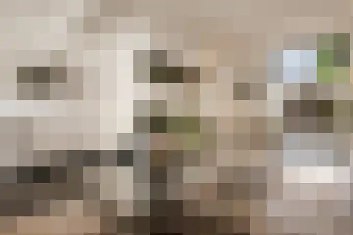 Zijtak 46 Laren thumbnail 11