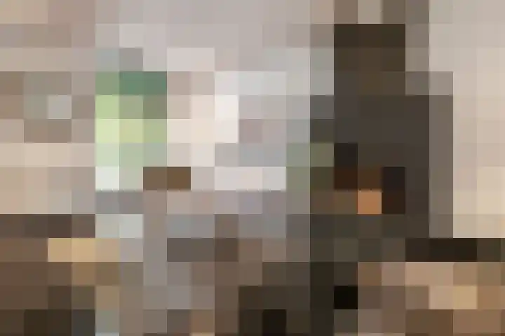 Zijtak 46 Laren thumbnail 12