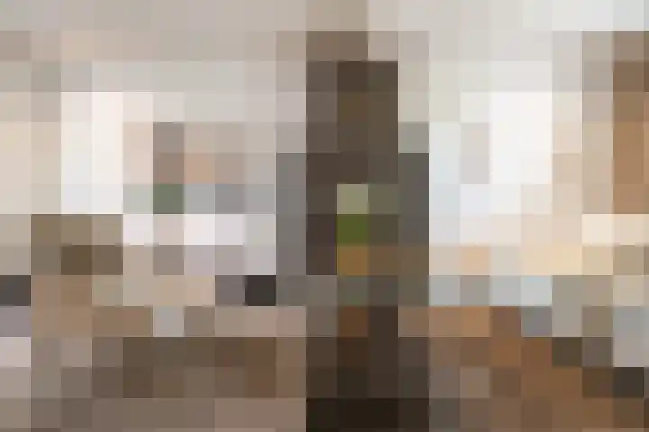 Zijtak 46 Laren thumbnail 13
