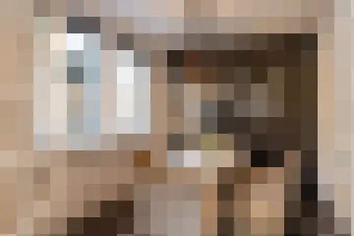 Zijtak 46 Laren thumbnail 14