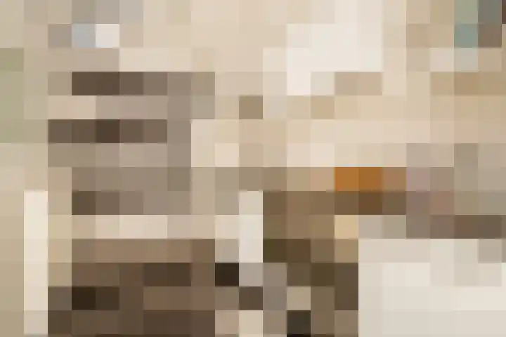 Zijtak 46 Laren thumbnail 17