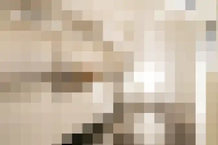 Zijtak 46 Laren thumbnail 18