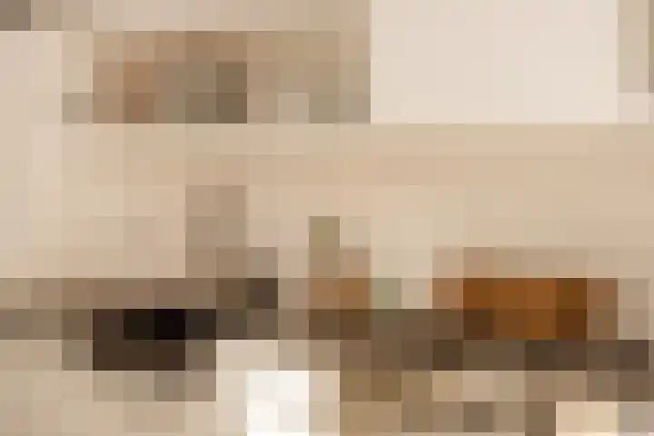 Zijtak 46 Laren thumbnail 19