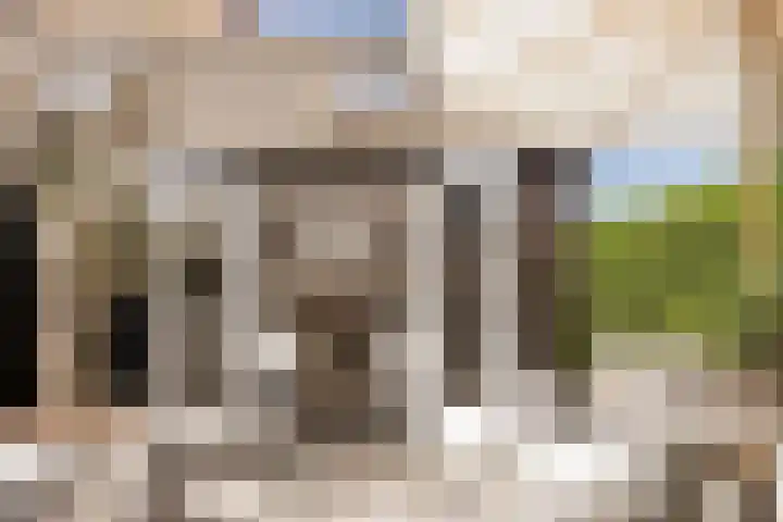 Zijtak 46 Laren thumbnail 21