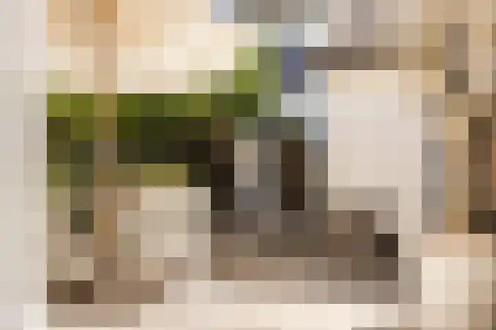 Zijtak 46 Laren thumbnail 22