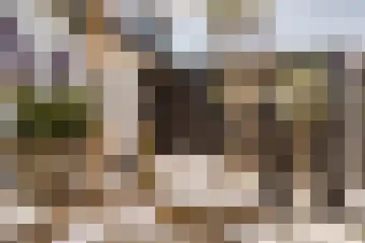 Zijtak 46 Laren thumbnail 23