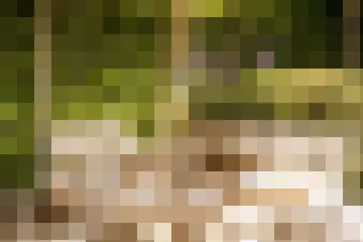 Zijtak 46 Laren thumbnail 24