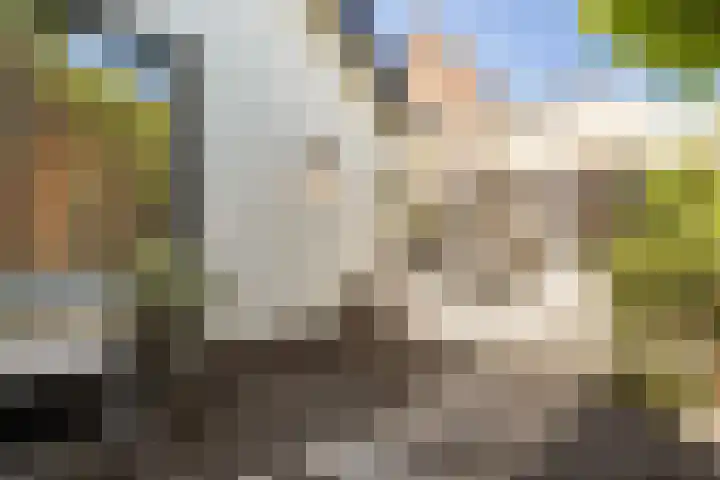 Zijtak 46 Laren thumbnail 25