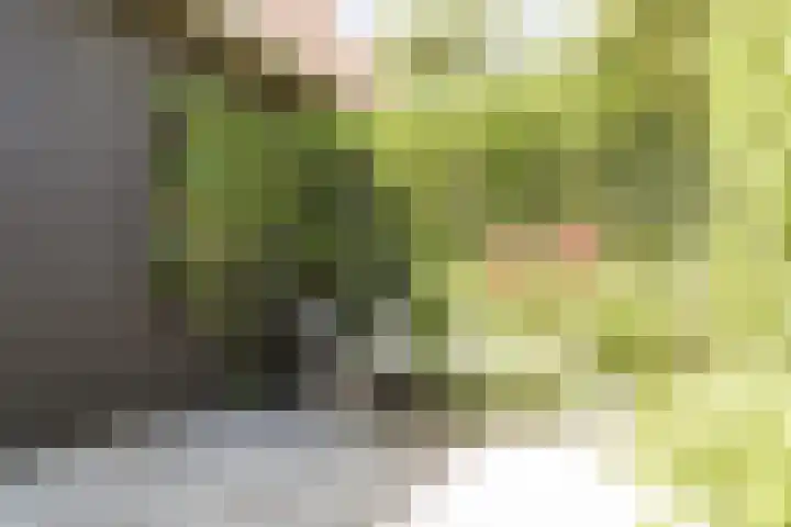 Zijtak 46 Laren thumbnail 26