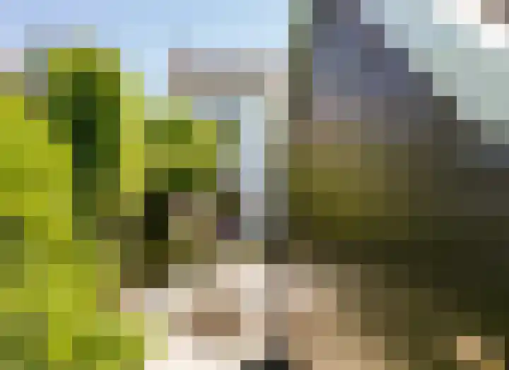 Zijtak 46 Laren thumbnail 27