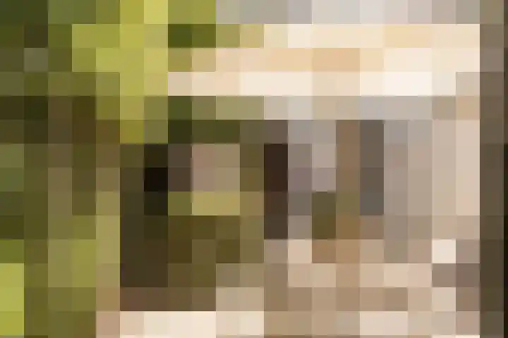 Zijtak 46 Laren thumbnail 28