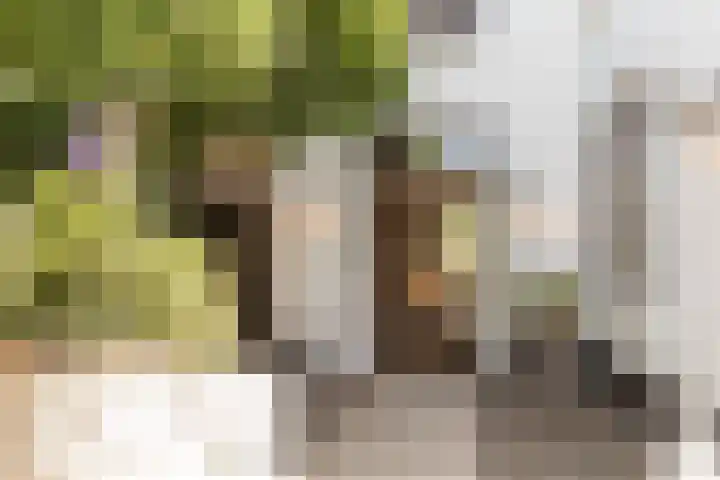 Zijtak 46 Laren thumbnail 29
