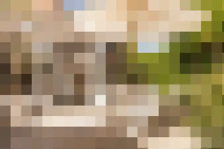 Zijtak 46 Laren thumbnail 30